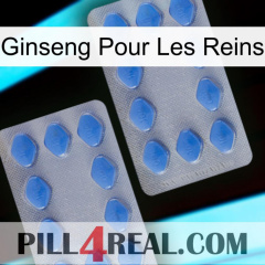 Ginseng For Kidney 20